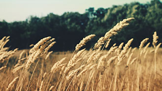 ddos压力测试平台